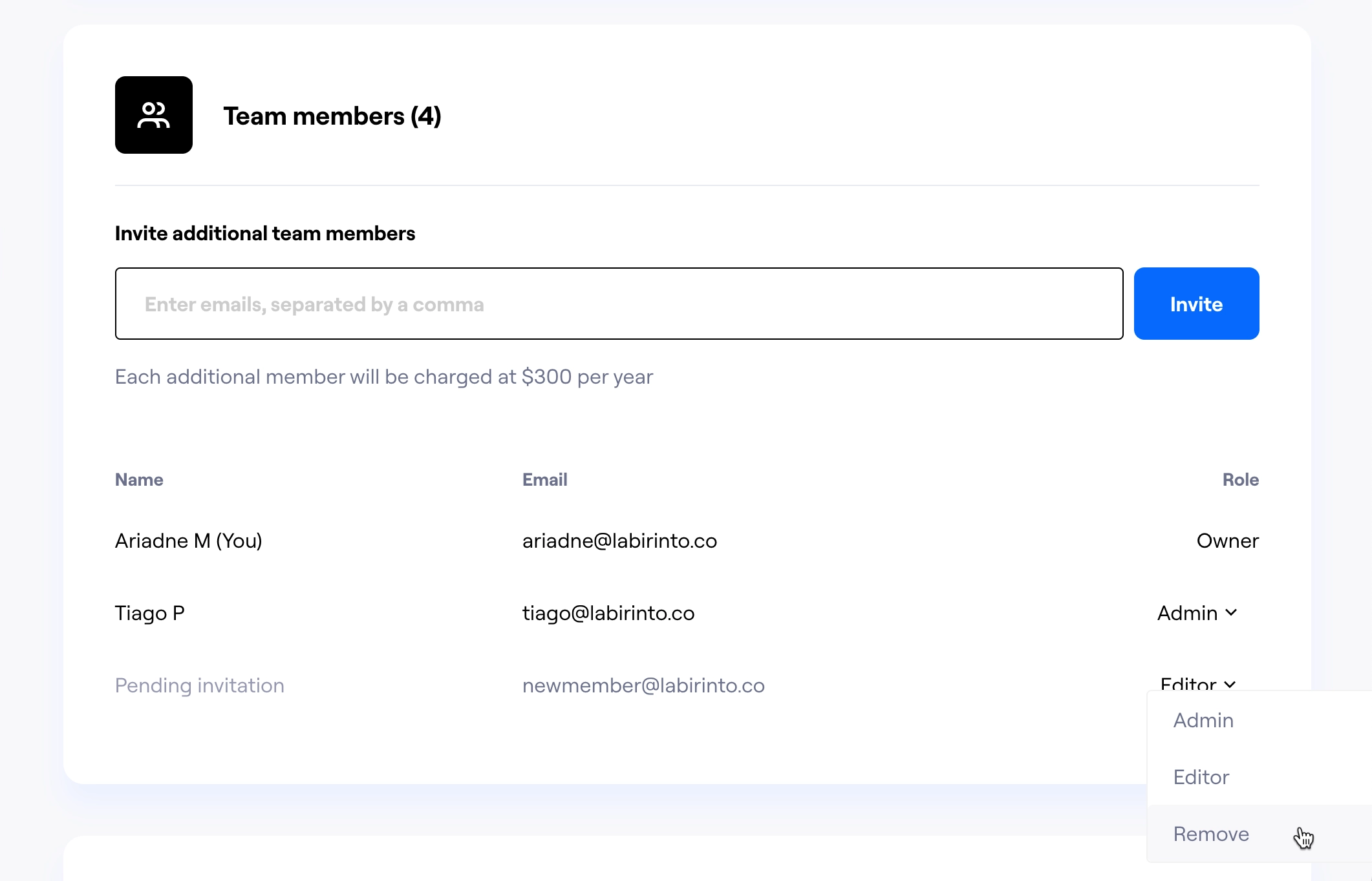 maze-team-settings-remove-member.webp