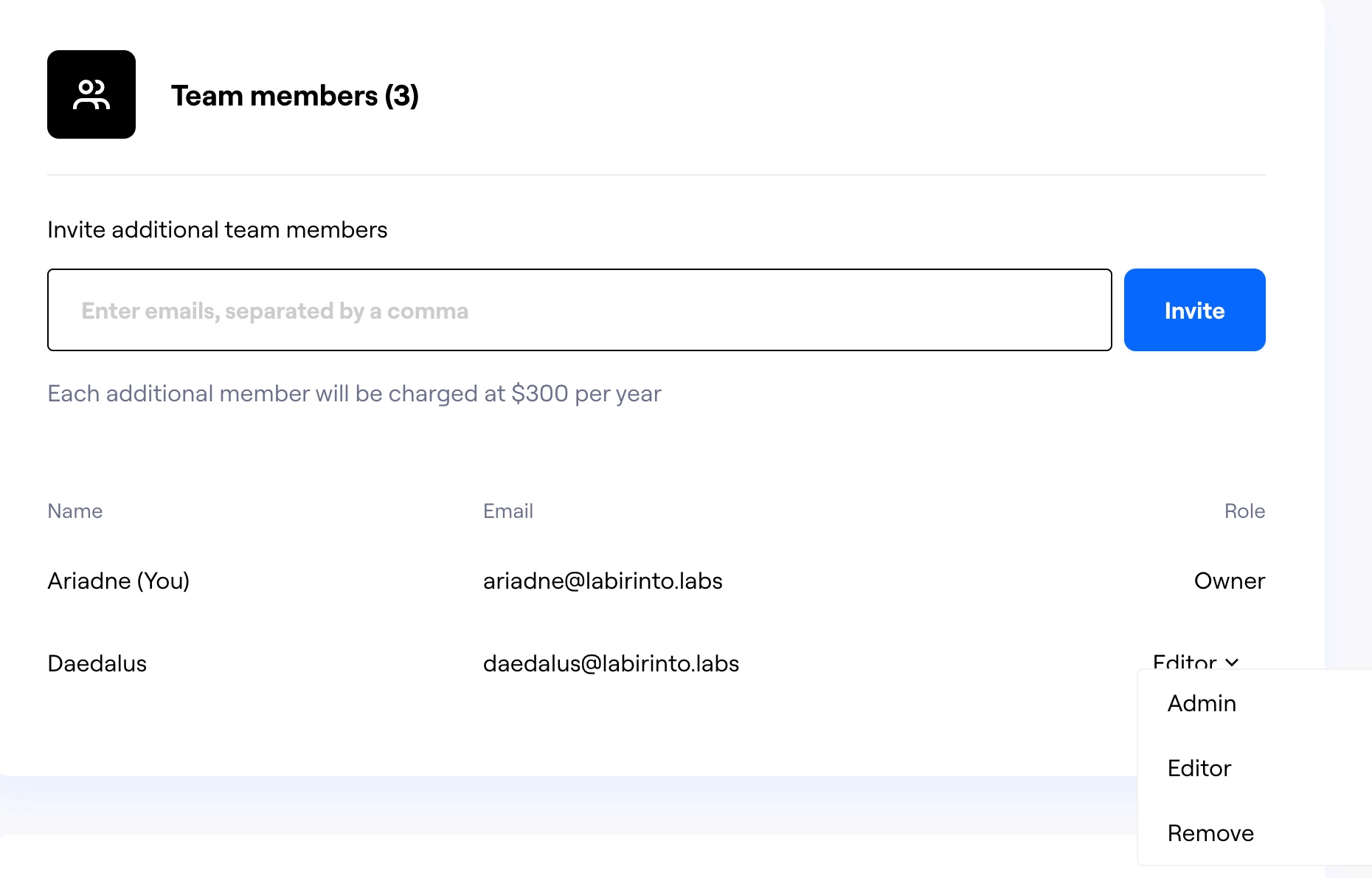 maze-team-settings-change-role.webp
